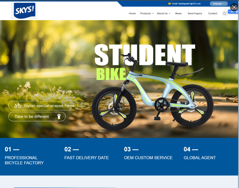 Hebei Skyking Bicycle Techonlogy Co.,Ltd.