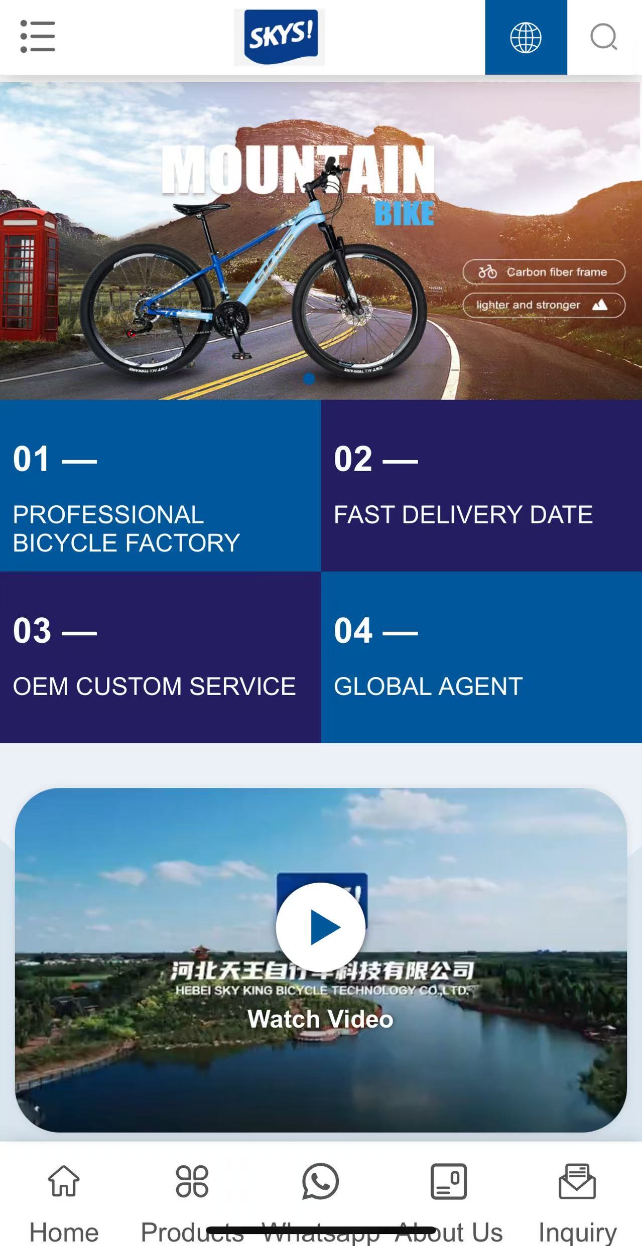 Hebei Skyking Bicycle Techonlogy Co.,Ltd.